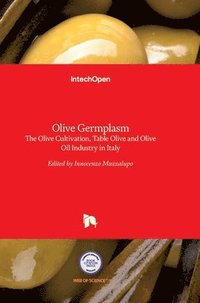 bokomslag Olive Germplasm