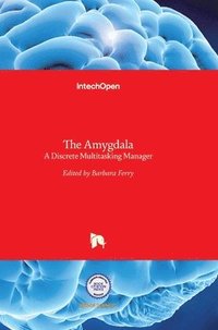 bokomslag Amygdala