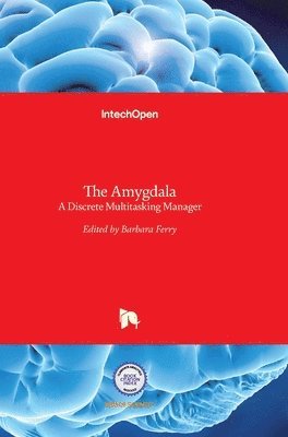 bokomslag The Amygdala