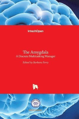 Amygdala 1