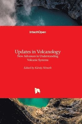 bokomslag Updates In Volcanology