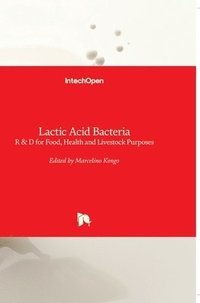 bokomslag Lactic Acid Bacteria