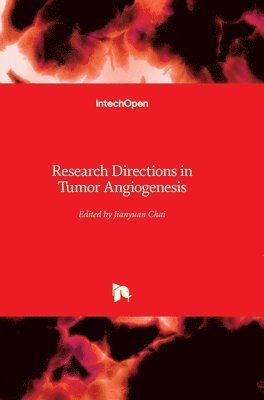 bokomslag Research Directions In Tumor Angiogenesis