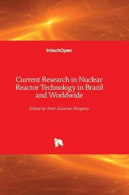 bokomslag Current Research in Nuclear Reactor Technology in Brazil and Worldwide