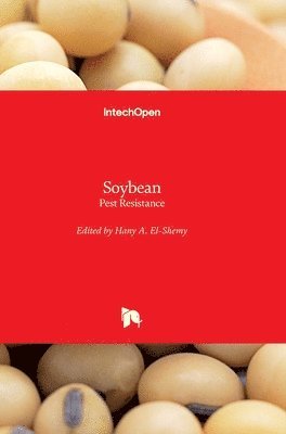 Soybean 1