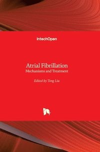 bokomslag Atrial Fibrillation: Mechanisms and Treatment