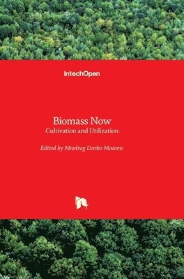 Biomass Now 1