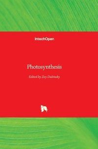 bokomslag Photosynthesis
