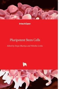 bokomslag Pluripotent Stem Cells