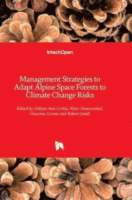 Gillian Ann Cerbu, Marc Hanewinkel, Giacomo Gerosa, Robert Jandl - Management Strategies to Adapt Alpine Space Forests to Climate Change Risks, Inbunden