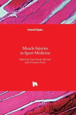 bokomslag Muscle Injuries in Sport Medicine