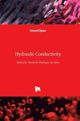 Vanderlei Rodrigues da Silva - Hydraulic Conductivity, Inbunden