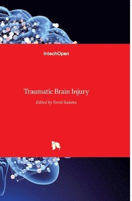 bokomslag Traumatic Brain Injury