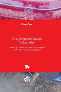 bokomslag Co2 Sequestration And Valorization