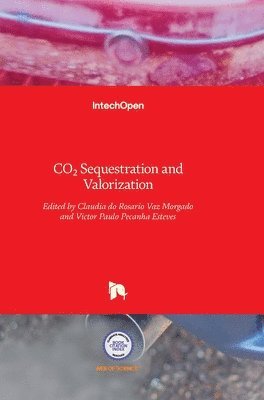 bokomslag Co2 Sequestration And Valorization