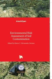 bokomslag Environmental Risk Assessment Of Soil Contamination