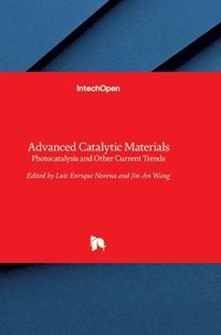 bokomslag Advanced Catalytic Materials