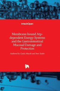 bokomslag Membrane-bound Atp-dependent Energy Systems and the Gastrointestinal Mucosal Damage and Protection