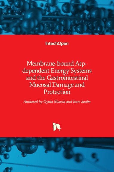 bokomslag Membrane-bound Atp-dependent Energy Systems and the Gastrointestinal Mucosal Damage and Protection