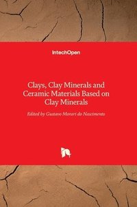 bokomslag Clays, Clay Minerals and Ceramic Materials Based on Clay Minerals