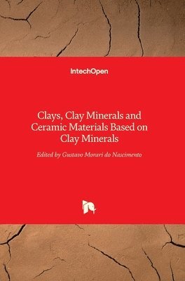 bokomslag Clays, Clay Minerals and Ceramic Materials Based on Clay Minerals