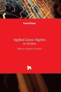 bokomslag Applied Linear Algebra in Action