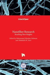 bokomslag Nanofiber Research