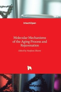 bokomslag Molecular Mechanisms of the Aging Process and Rejuvenation