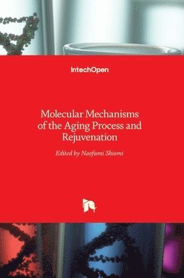 Molecular Mechanisms of the Aging Process and Rejuvenation