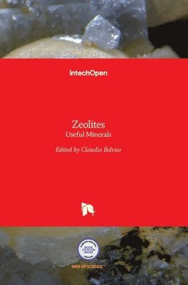 Zeolites 1