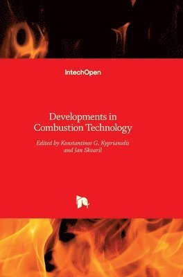 bokomslag Developments in Combustion Technology