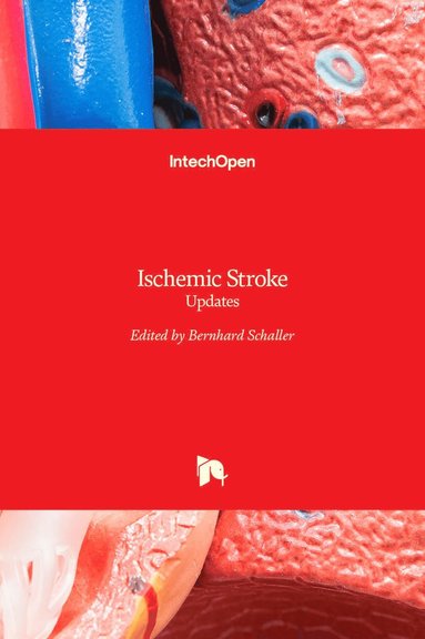 bokomslag Ischemic Stroke