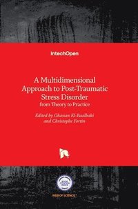 bokomslag A Multidimensional Approach to Post-Traumatic Stress Disorder