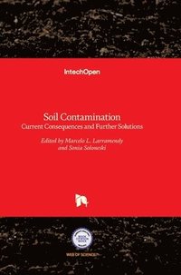 bokomslag Soil Contamination
