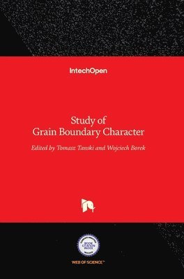 bokomslag Study of Grain Boundary Character