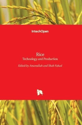 bokomslag Rice