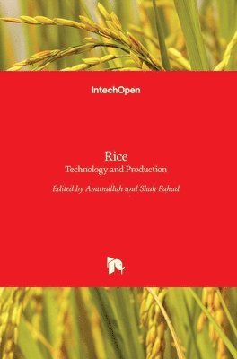 Rice 1