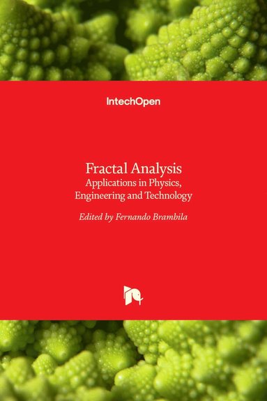 bokomslag Fractal Analysis