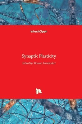 Synaptic Plasticity 1