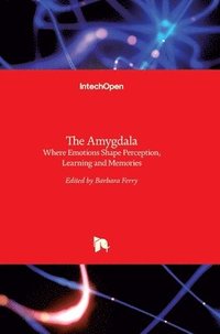 bokomslag The Amygdala