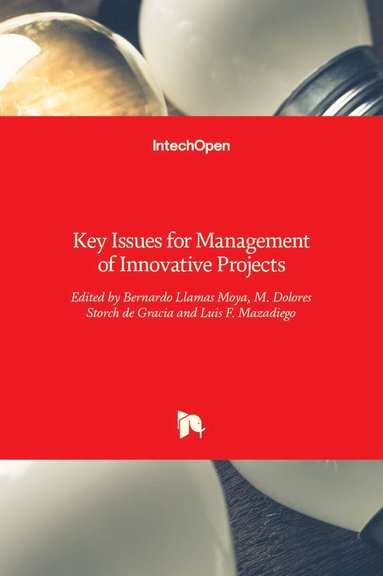 bokomslag Key Issues for Management of Innovative Projects