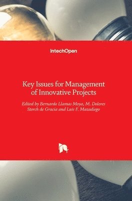 Bernardo Llamas Moya, M. Dolores Storch de Gracia, Luis F. Mazadiego, Bernardo Llamas, Felipe Luis Mazadiego, María Dolores Storch de Gracia - Key Issues for Management of Innovative Projects, Inbunden