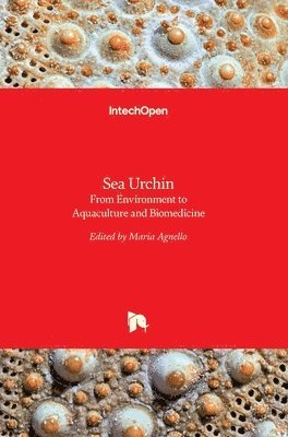 Maria Agnello - Sea Urchin, Inbunden