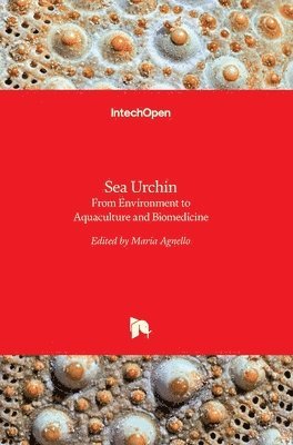 Sea Urchin 1