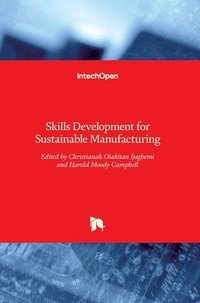 bokomslag Skills Development for Sustainable Manufacturing