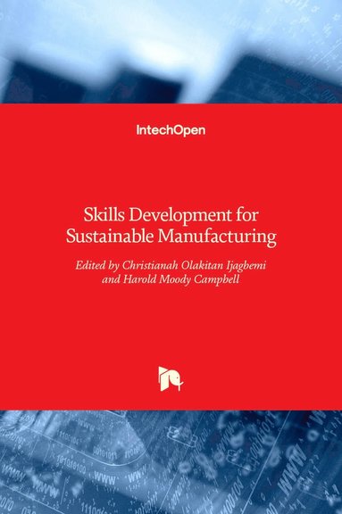 bokomslag Skills Development for Sustainable Manufacturing