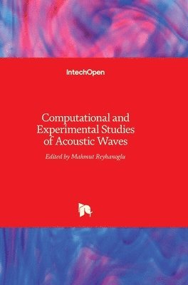 bokomslag Computational and Experimental Studies of Acoustic Waves