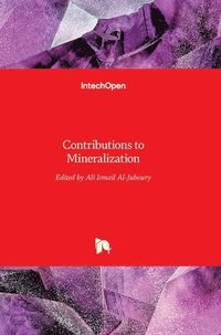 bokomslag Contributions to Mineralization