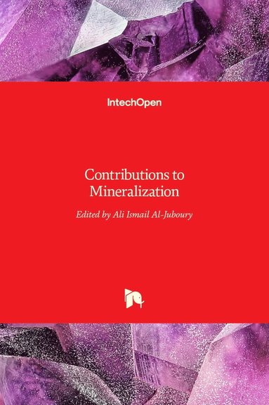 Ali Ismail Al-Juboury - Contributions to Mineralization, Inbunden