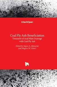 bokomslag Coal Fly Ash Beneficiation